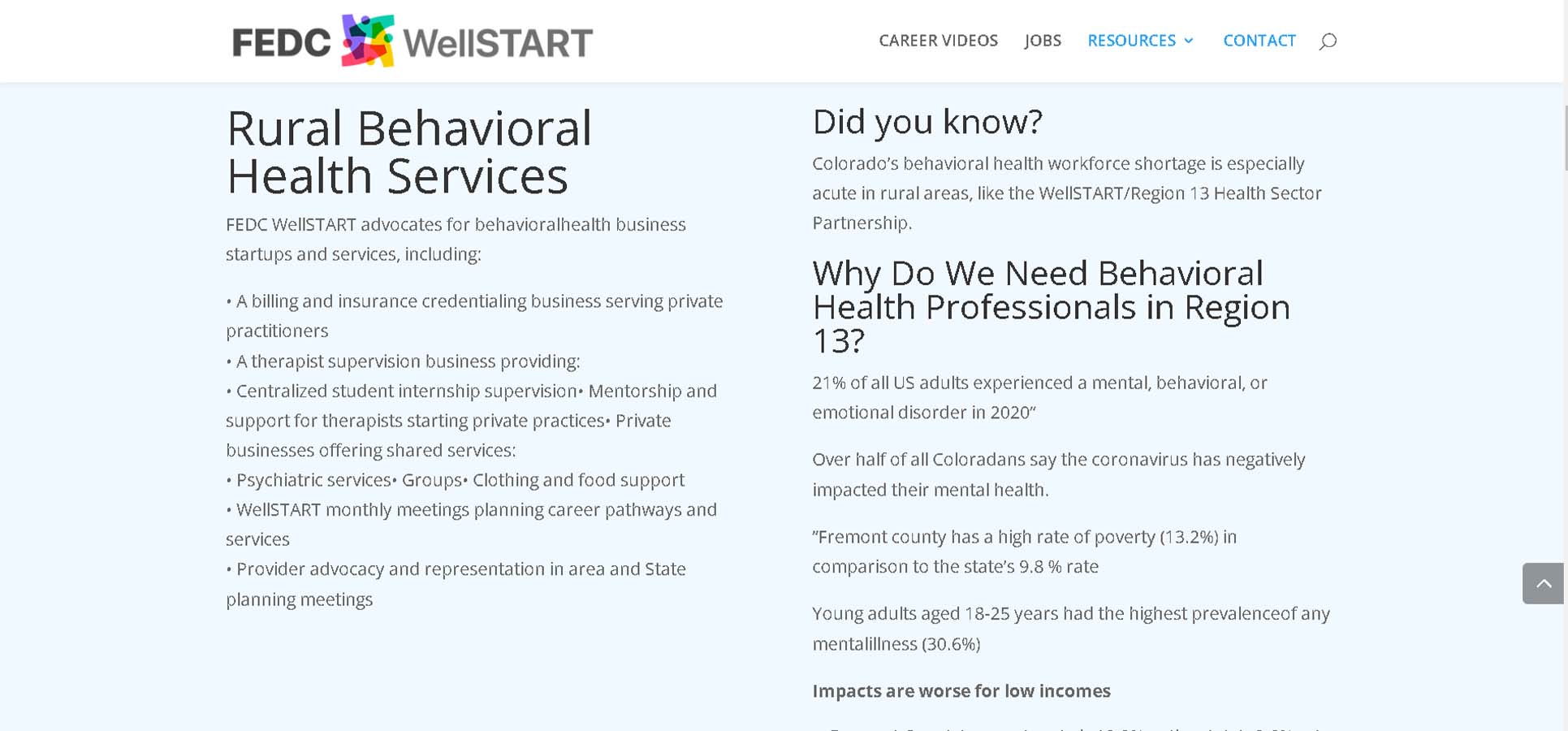 WellSTART Homepage 4